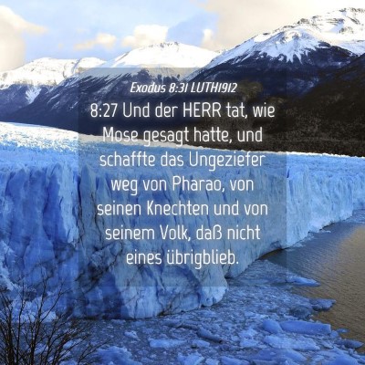 Picture 04 - Exodus 8:31 LUTH1912 - 8:27 Und der HERR tat, wie Mose gesagt hatte, und - Bible Verse Picture