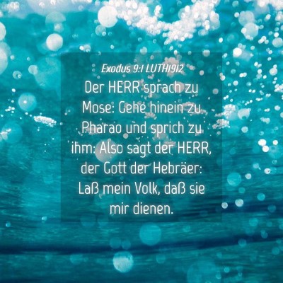 Picture 04 - Exodus 9:1 LUTH1912 - Der HERR sprach zu Mose: Gehe hinein zu Pharao - Bible Verse Picture