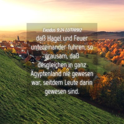Picture 04 - Exodus 9:24 LUTH1912 - daß Hagel und Feuer untereinander fuhren, so - Bible Verse Picture