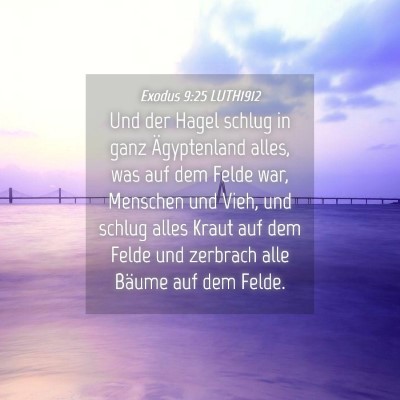 Picture 04 - Exodus 9:25 LUTH1912 - Und der Hagel schlug in ganz Ägyptenland alles, - Bible Verse Picture