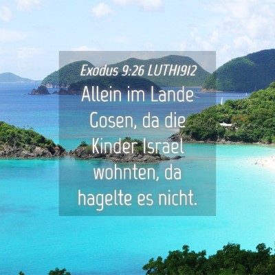 Picture 04 - Exodus 9:26 LUTH1912 - Allein im Lande Gosen, da die Kinder Israel - Bible Verse Picture