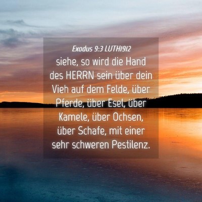 Picture 04 - Exodus 9:3 LUTH1912 - siehe, so wird die Hand des HERRN sein über dein - Bible Verse Picture