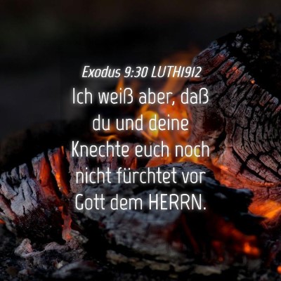 Picture 04 - Exodus 9:30 LUTH1912 - Ich weiß aber, daß du und deine Knechte euch - Bible Verse Picture