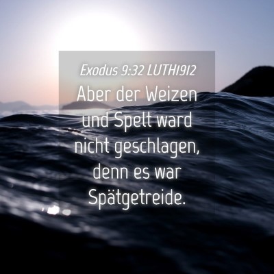 Picture 04 - Exodus 9:32 LUTH1912 - Aber der Weizen und Spelt ward nicht geschlagen, - Bible Verse Picture