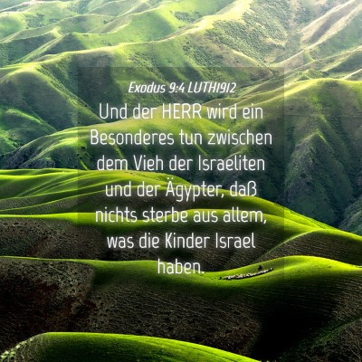 Picture 04 - Exodus 9:4 LUTH1912 - Und der HERR wird ein Besonderes tun zwischen dem - Bible Verse Picture