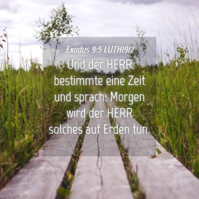 Picture 04 - Exodus 9:5 LUTH1912 - Und der HERR bestimmte eine Zeit und sprach: - Bible Verse Picture