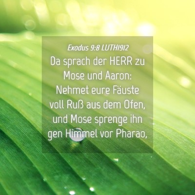 Picture 04 - Exodus 9:8 LUTH1912 - Da sprach der HERR zu Mose und Aaron: Nehmet eure - Bible Verse Picture
