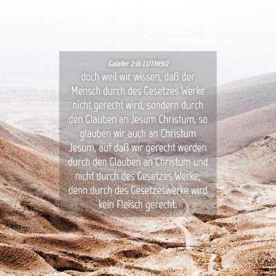 Picture 04 - Galater 2:16 LUTH1912 - doch weil wir wissen, daß der Mensch durch des - Bible Verse Picture