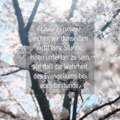 Picture 04 - Galater 2:5 LUTH1912 - wichen wir denselben nicht eine Stunde, ihnen - Bible Verse Picture
