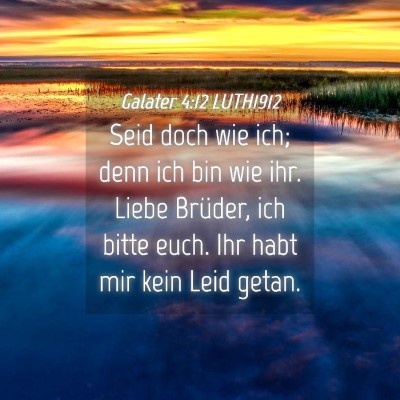 Picture 04 - Galater 4:12 LUTH1912 - Seid doch wie ich; denn ich bin wie ihr. Liebe - Bible Verse Picture