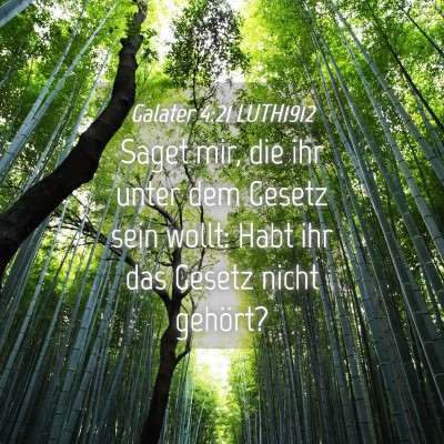 Picture 04 - Galater 4:21 LUTH1912 - Saget mir, die ihr unter dem Gesetz sein wollt: - Bible Verse Picture
