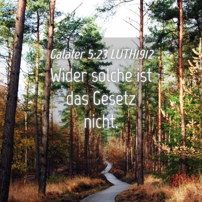 Picture 04 - Galater 5:23 LUTH1912 - Wider solche ist das Gesetz - Bible Verse Picture