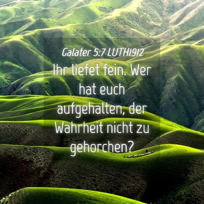 Picture 04 - Galater 5:7 LUTH1912 - Ihr liefet fein. Wer hat euch aufgehalten, der - Bible Verse Picture