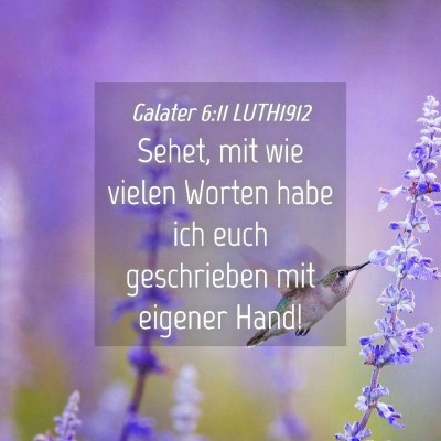 Picture 04 - Galater 6:11 LUTH1912 - Sehet, mit wie vielen Worten habe ich euch - Bible Verse Picture