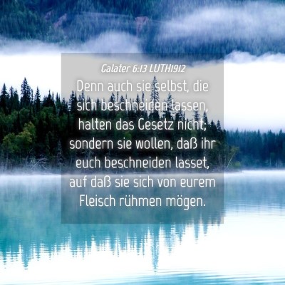 Picture 04 - Galater 6:13 LUTH1912 - Denn auch sie selbst, die sich beschneiden - Bible Verse Picture