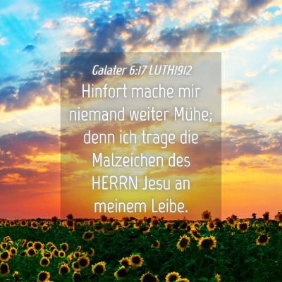 Picture 04 - Galater 6:17 LUTH1912 - Hinfort mache mir niemand weiter Mühe; denn ich - Bible Verse Picture