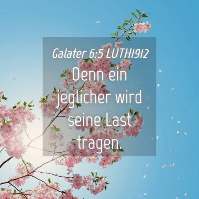 Picture 04 - Galater 6:5 LUTH1912 - Denn ein jeglicher wird seine Last - Bible Verse Picture