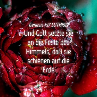 Picture 04 - Genesis 1:17 LUTH1912 - Und Gott setzte sie an die Feste des Himmels, - Bible Verse Picture