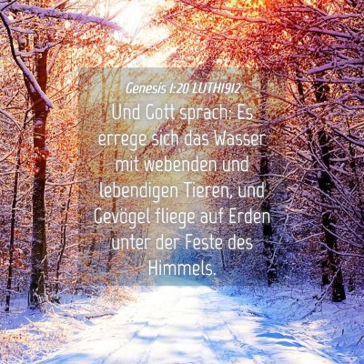 Picture 04 - Genesis 1:20 LUTH1912 - Und Gott sprach: Es errege sich das Wasser mit - Bible Verse Picture