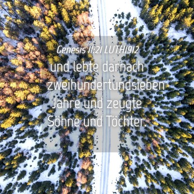 Picture 04 - Genesis 11:21 LUTH1912 - und lebte darnach zweihundertundsieben Jahre und - Bible Verse Picture