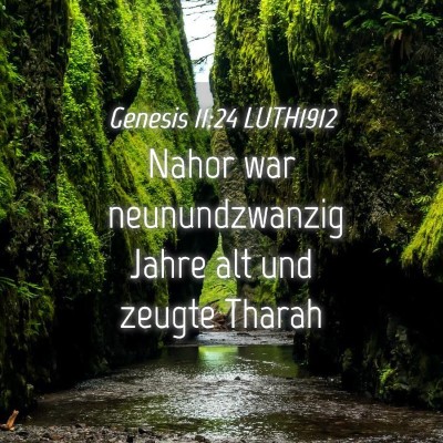 Picture 04 - Genesis 11:24 LUTH1912 - Nahor war neunundzwanzig Jahre alt und zeugte - Bible Verse Picture