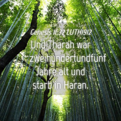 Picture 04 - Genesis 11:32 LUTH1912 - Und Tharah war zweihundertundfünf Jahre alt und - Bible Verse Picture