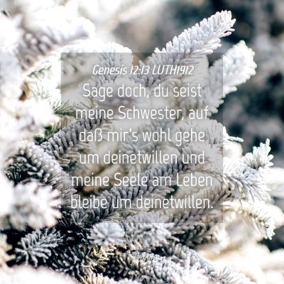 Picture 04 - Genesis 12:13 LUTH1912 - Sage doch, du seist meine Schwester, auf daß - Bible Verse Picture