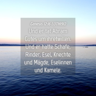 Picture 04 - Genesis 12:16 LUTH1912 - Und er tat Abram Gutes um ihretwillen. Und er - Bible Verse Picture