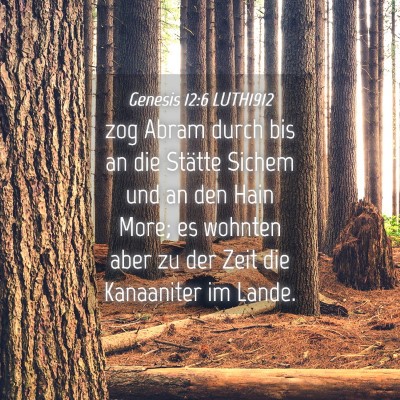 Picture 04 - Genesis 12:6 LUTH1912 - zog Abram durch bis an die Stätte Sichem und an - Bible Verse Picture