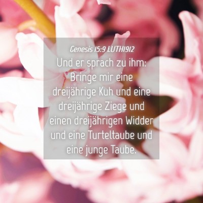 Picture 04 - Genesis 15:9 LUTH1912 - Und er sprach zu ihm: Bringe mir eine - Bible Verse Picture