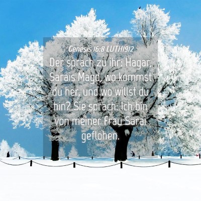 Picture 04 - Genesis 16:8 LUTH1912 - Der sprach zu ihr: Hagar, Sarais Magd, wo kommst - Bible Verse Picture