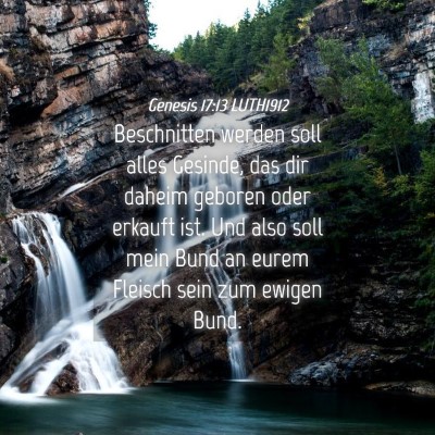 Picture 04 - Genesis 17:13 LUTH1912 - Beschnitten werden soll alles Gesinde, das dir - Bible Verse Picture