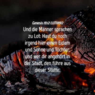 Picture 04 - Genesis 19:12 LUTH1912 - Und die Männer sprachen zu Lot: Hast du noch - Bible Verse Picture