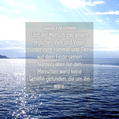 Picture 04 - Genesis 2:20 LUTH1912 - Und der Mensch gab einem jeglichen Vieh und Vogel - Bible Verse Picture