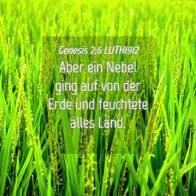 Picture 04 - Genesis 2:6 LUTH1912 - Aber ein Nebel ging auf von der Erde und - Bible Verse Picture