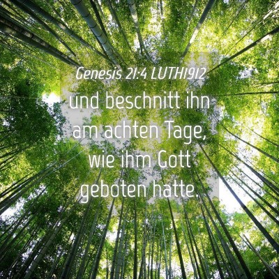 Picture 04 - Genesis 21:4 LUTH1912 - und beschnitt ihn am achten Tage, wie ihm Gott - Bible Verse Picture