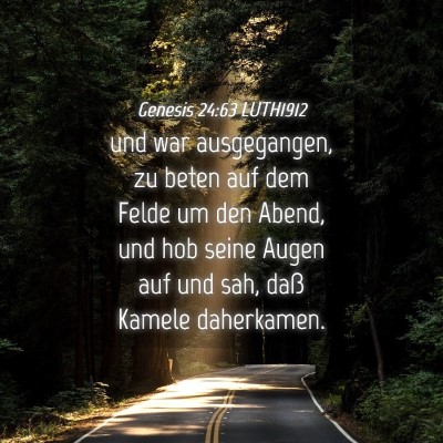 Picture 04 - Genesis 24:63 LUTH1912 - und war ausgegangen, zu beten auf dem Felde um - Bible Verse Picture