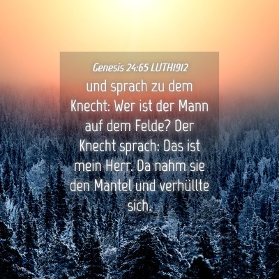 Picture 04 - Genesis 24:65 LUTH1912 - und sprach zu dem Knecht: Wer ist der Mann auf - Bible Verse Picture