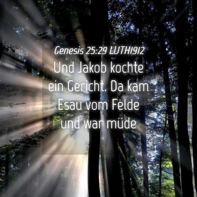 Picture 04 - Genesis 25:29 LUTH1912 - Und Jakob kochte ein Gericht. Da kam Esau vom - Bible Verse Picture