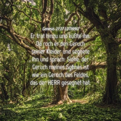 Picture 04 - Genesis 27:27 LUTH1912 - Er trat hinzu und küßte ihn. Da roch er den - Bible Verse Picture