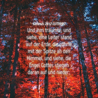 Picture 04 - Genesis 28:12 LUTH1912 - Und ihm träumte; und siehe, eine Leiter stand - Bible Verse Picture
