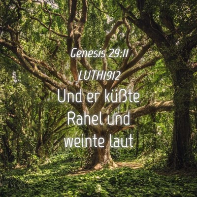 Picture 04 - Genesis 29:11 LUTH1912 - Und er küßte Rahel und weinte - Bible Verse Picture