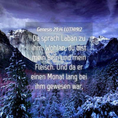 Picture 04 - Genesis 29:14 LUTH1912 - Da sprach Laban zu ihm: Wohlan, du bist mein Bein - Bible Verse Picture