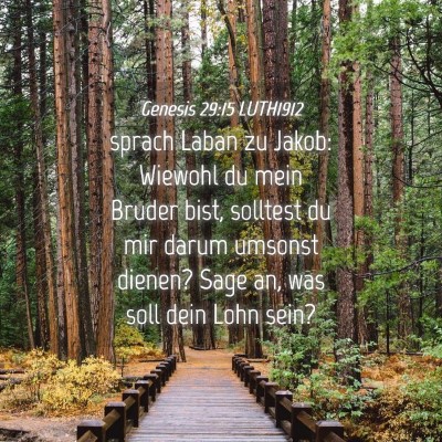 Picture 04 - Genesis 29:15 LUTH1912 - sprach Laban zu Jakob: Wiewohl du mein Bruder - Bible Verse Picture
