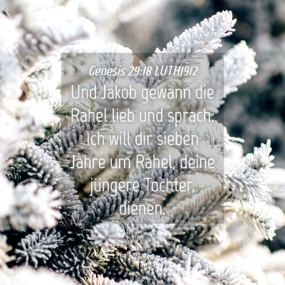 Picture 04 - Genesis 29:18 LUTH1912 - Und Jakob gewann die Rahel lieb und sprach: Ich - Bible Verse Picture