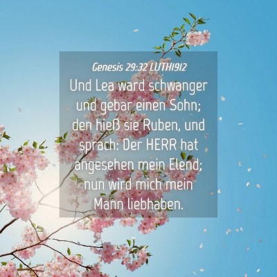 Picture 04 - Genesis 29:32 LUTH1912 - Und Lea ward schwanger und gebar einen Sohn; den - Bible Verse Picture