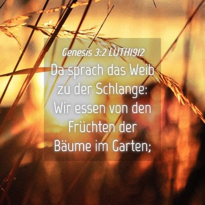 Picture 04 - Genesis 3:2 LUTH1912 - Da sprach das Weib zu der Schlange: Wir essen von - Bible Verse Picture