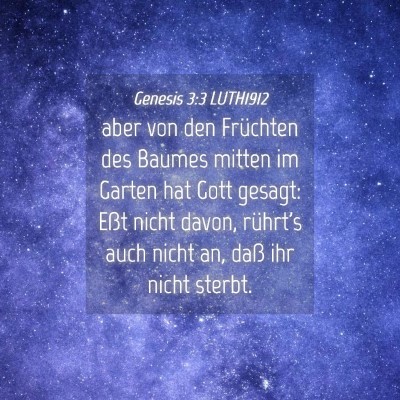 Picture 04 - Genesis 3:3 LUTH1912 - aber von den Früchten des Baumes mitten im - Bible Verse Picture