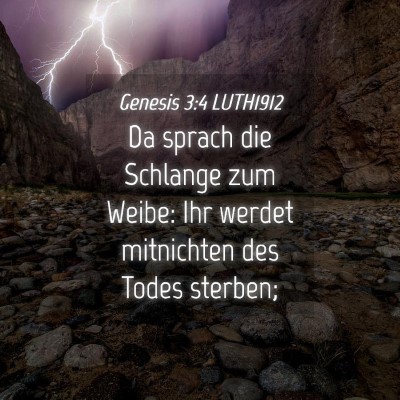 Picture 04 - Genesis 3:4 LUTH1912 - Da sprach die Schlange zum Weibe: Ihr werdet - Bible Verse Picture