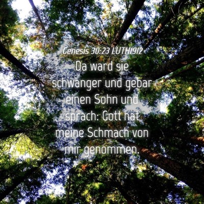 Picture 04 - Genesis 30:23 LUTH1912 - Da ward sie schwanger und gebar einen Sohn und - Bible Verse Picture